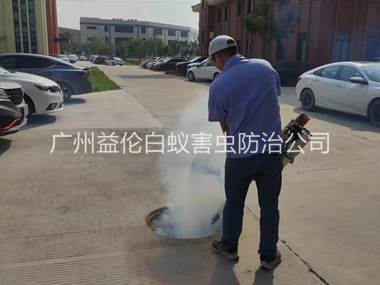 海珠登革热防控消杀工程